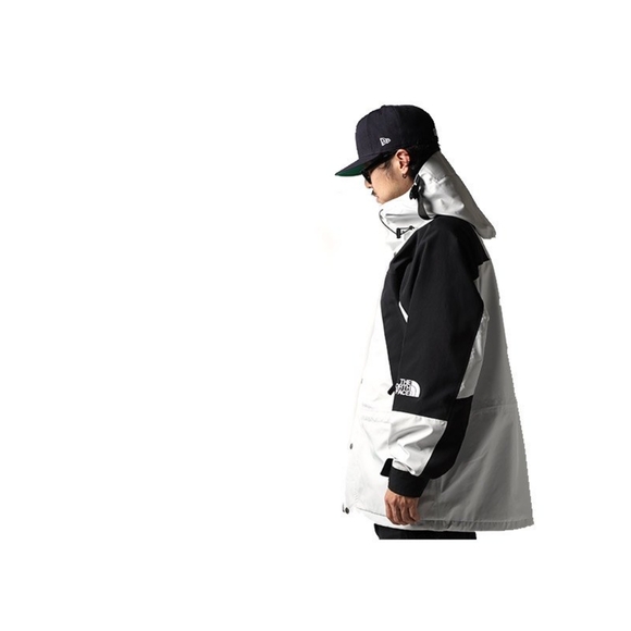 The North Face 1994 Retro Mountain Light FUTURELIGHT Jacket / TNF White - Picture 9 of 9